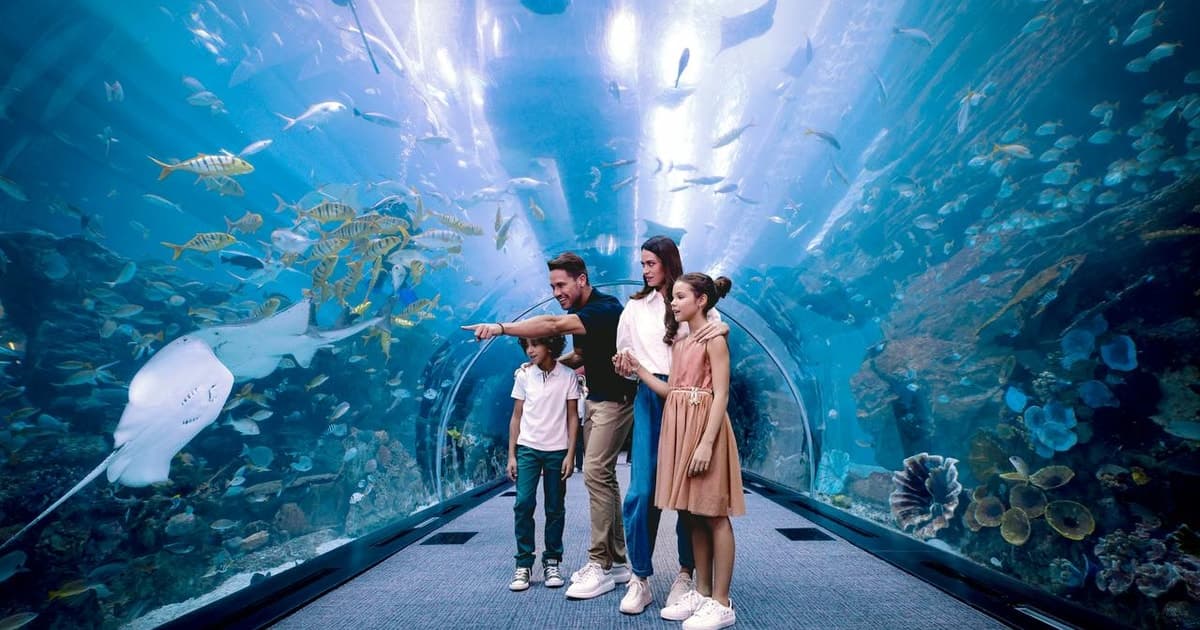 Dubai Aquarium & Underwater Zoo + Penguin Cove experience in Dubai - Image 2