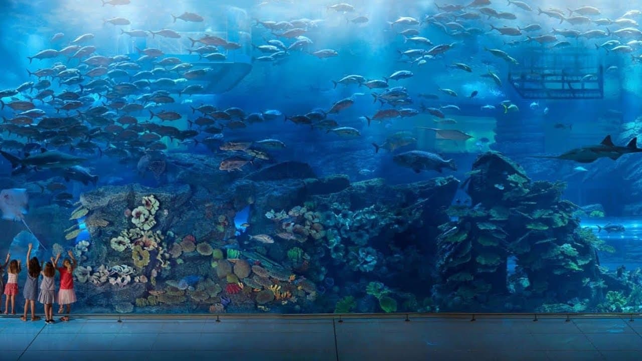 Dubai Aquarium & Underwater Zoo + Penguin Cove experience in Dubai - Image 12