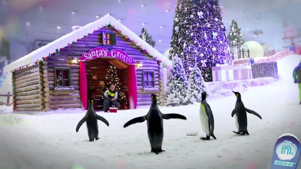 Snow Classic – Unlimited Winter Fun at Ski Dubai experience in Dubai - Image 7