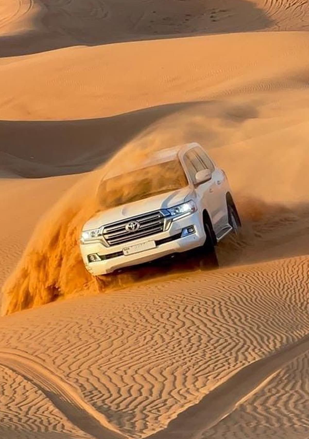 Private City Adventure With Desert Safari in Dubai experience in Dubai - Image 5