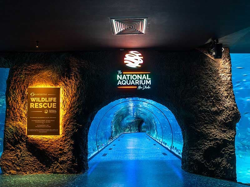 The National Aquarium Abu Dhabi experience in Dubai - Image 3