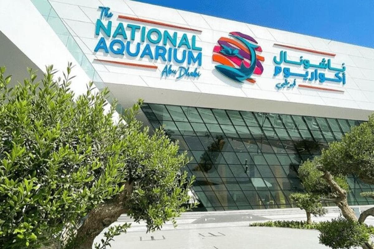 The National Aquarium Abu Dhabi experience in Dubai - Image 4