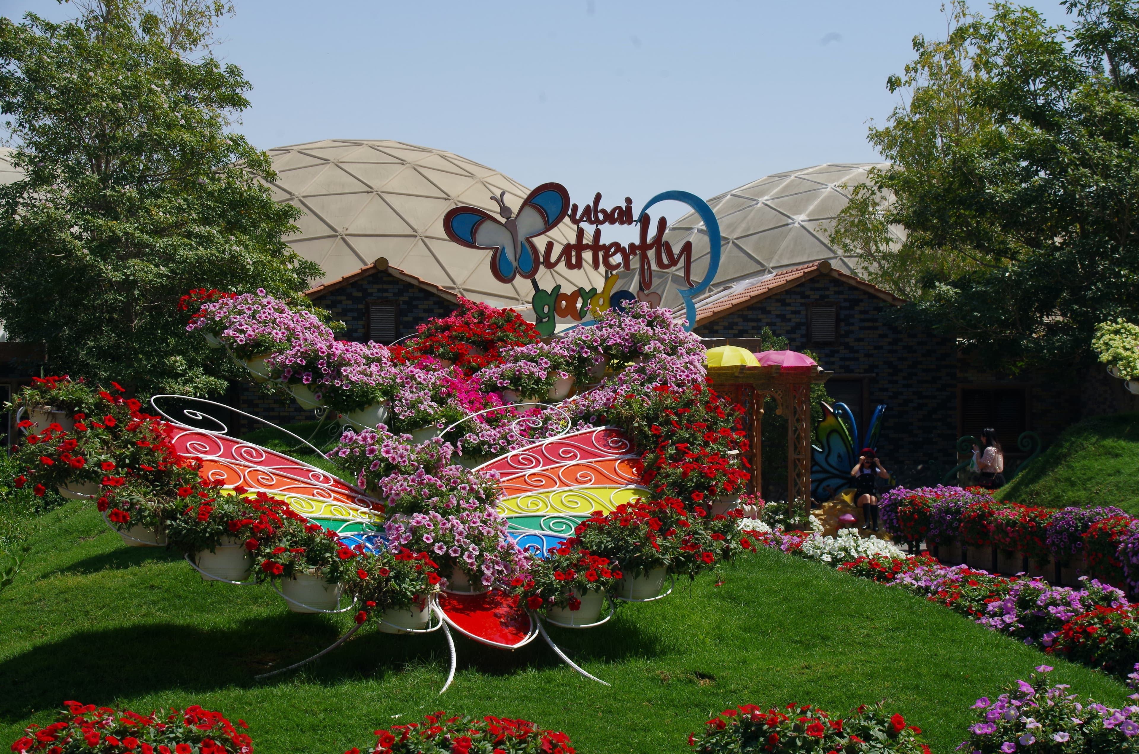 Dubai Butterfly Garden experience in Dubai - Image 7