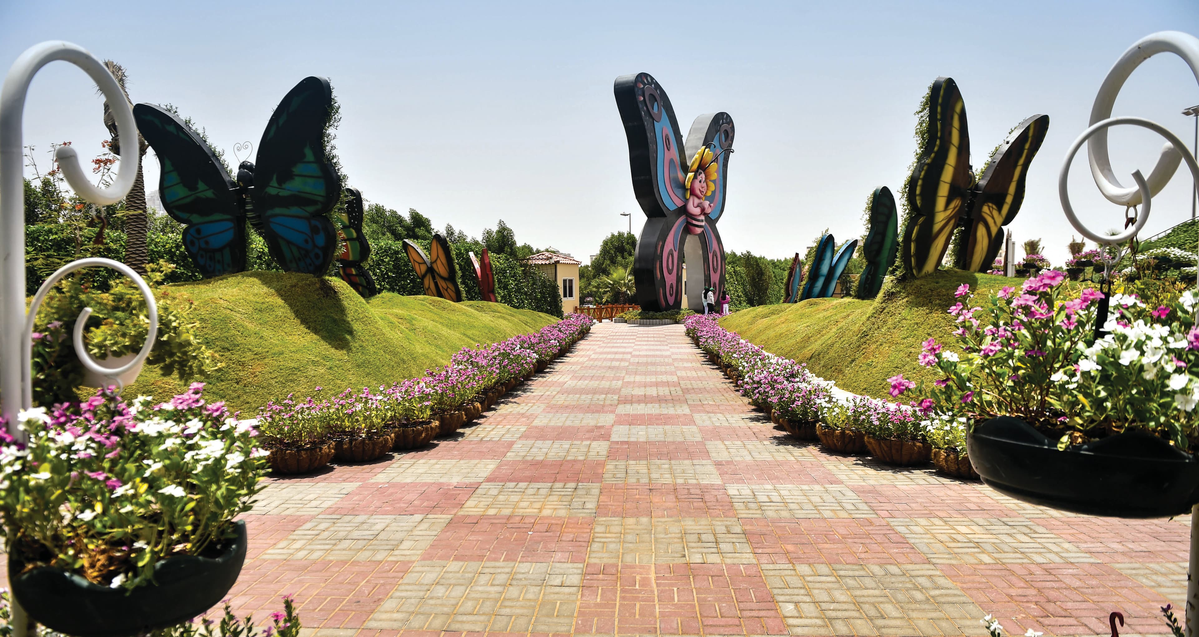 Dubai Butterfly Garden experience in Dubai - Image 8