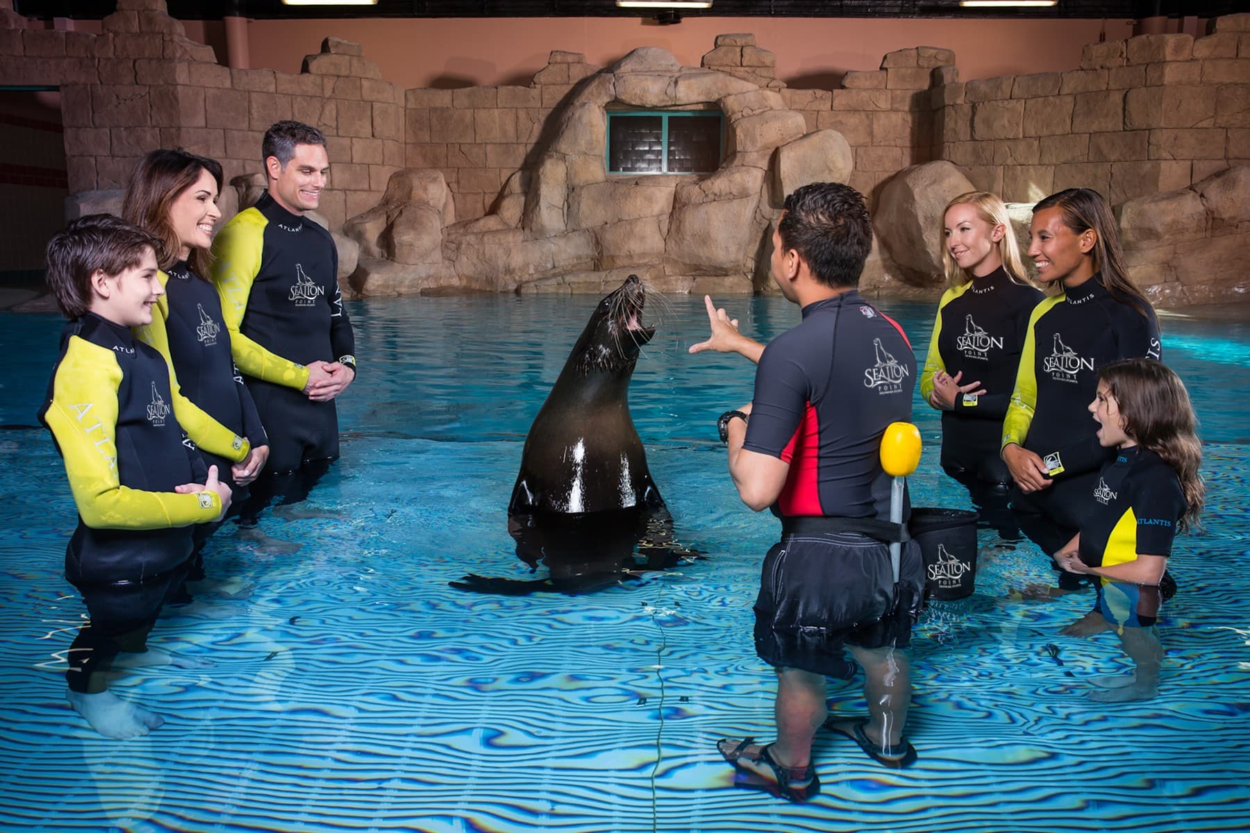 Sea Lion Meet & Greet experience in Dubai - Image 3