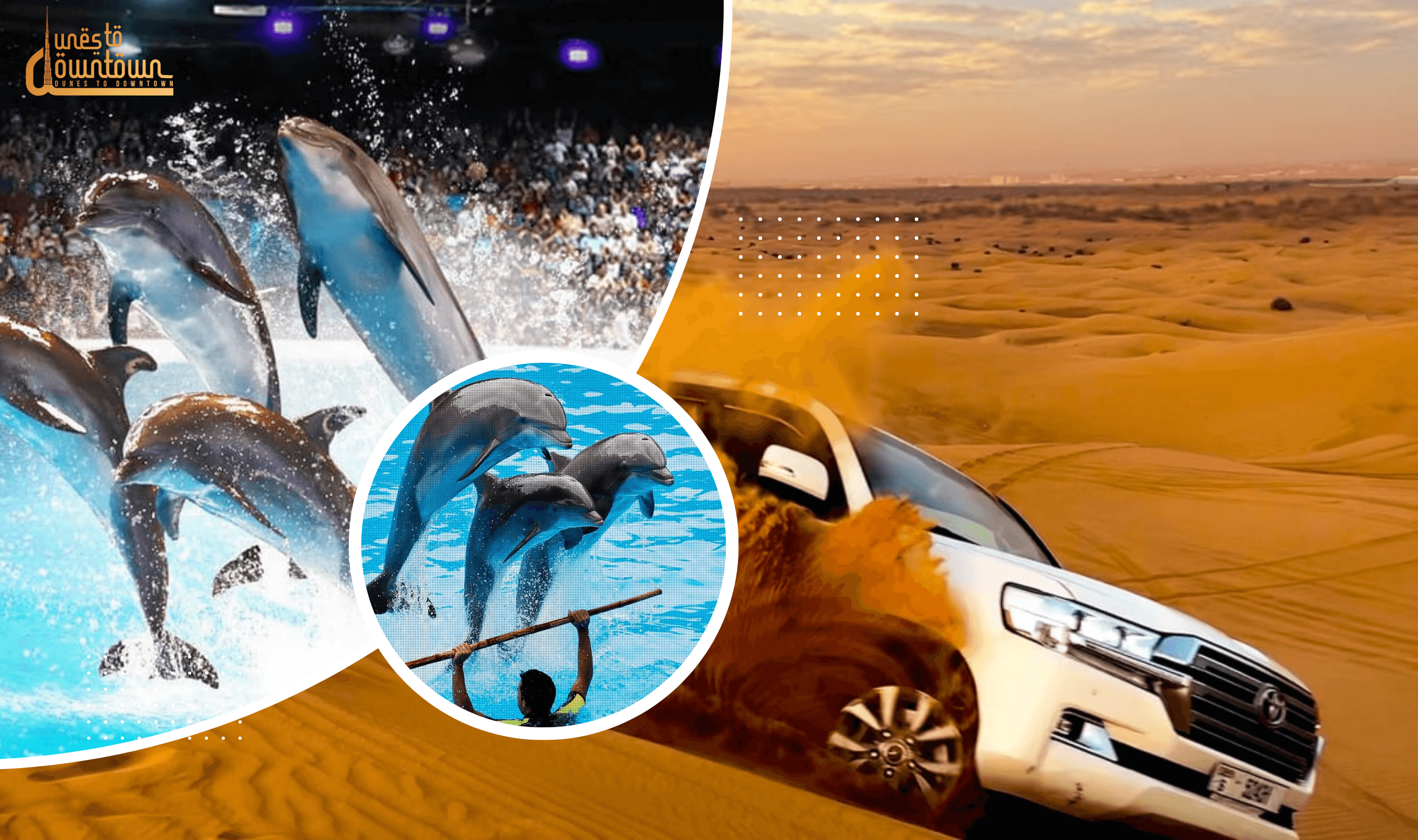 COMBO Dubai Dolphin Show & Dubai Desert Safari experience in Dubai - Image 1
