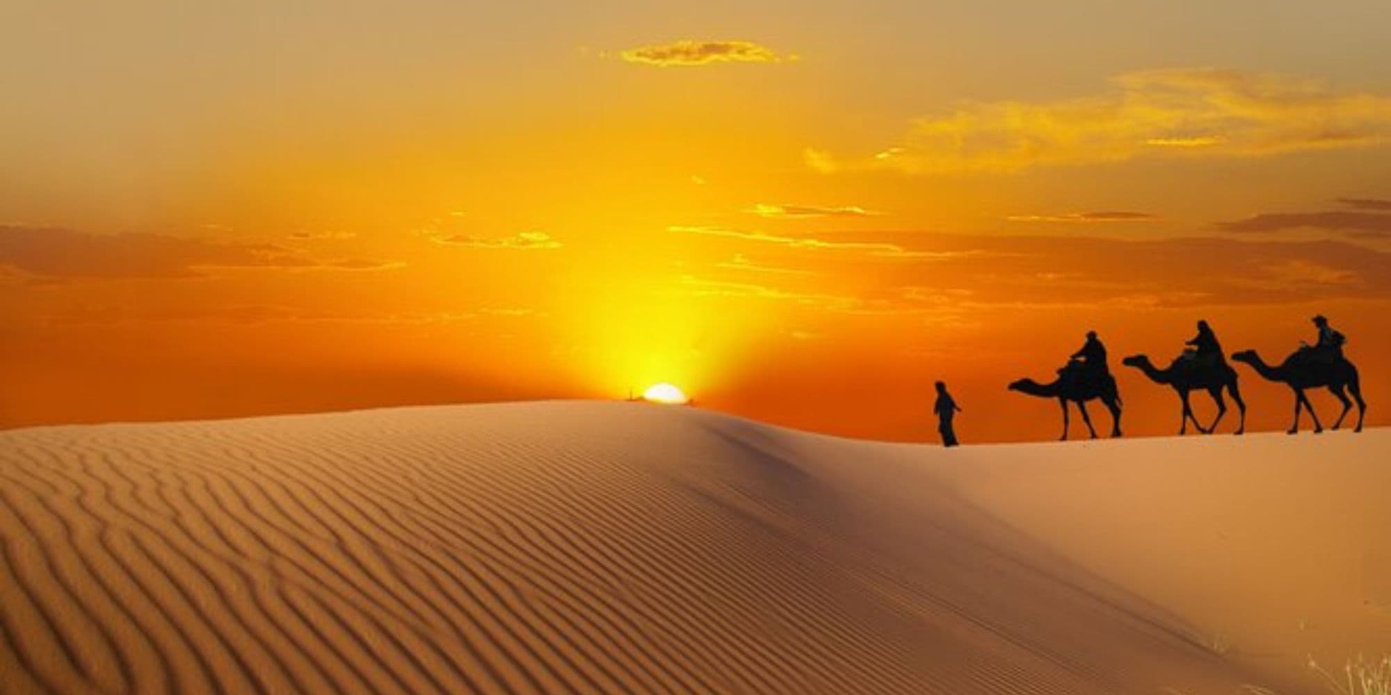 Dubai Morning Desert Safari experience in Dubai - Image 6