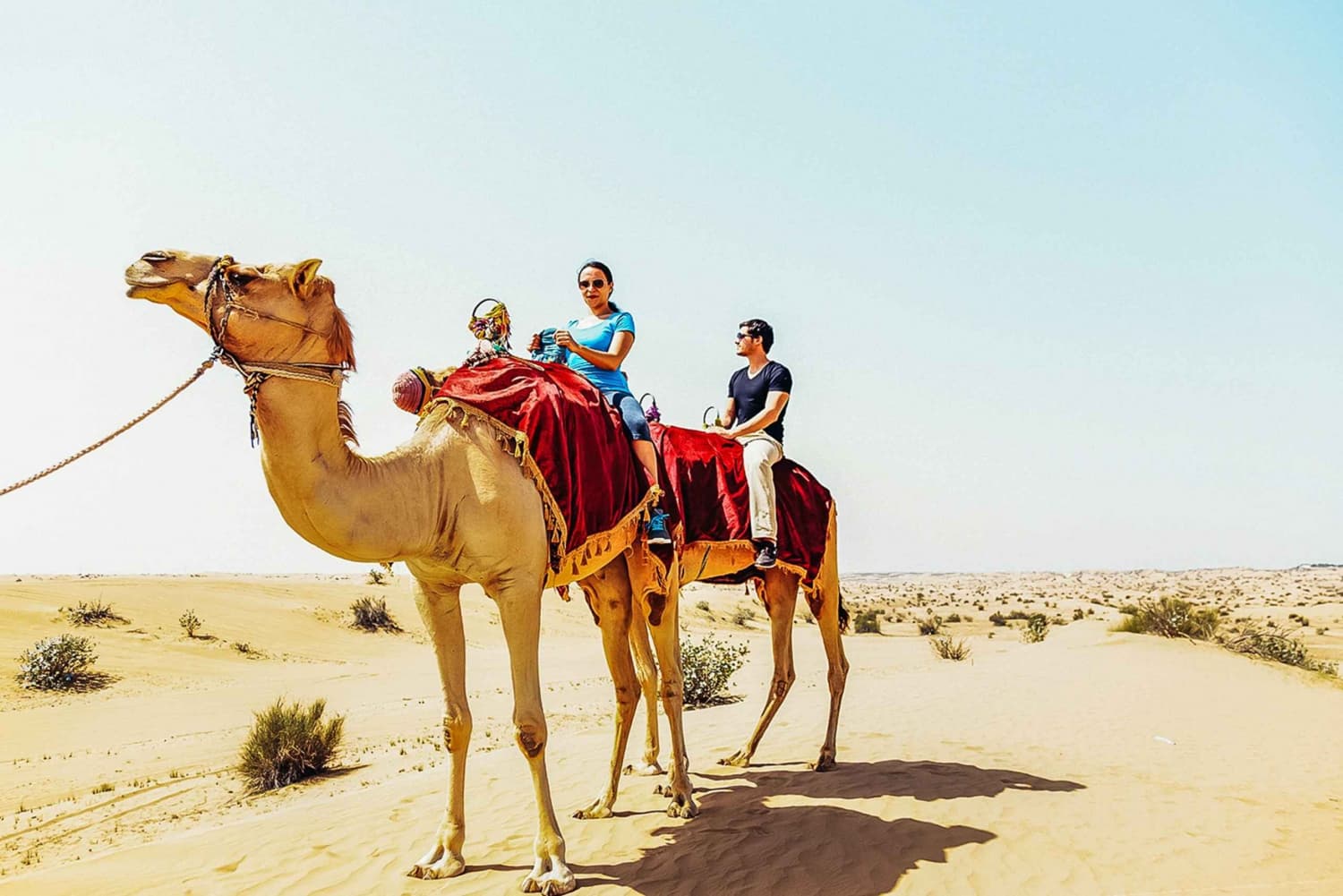Camel Riding Experience in the Desert experience in Dubai - Image 5