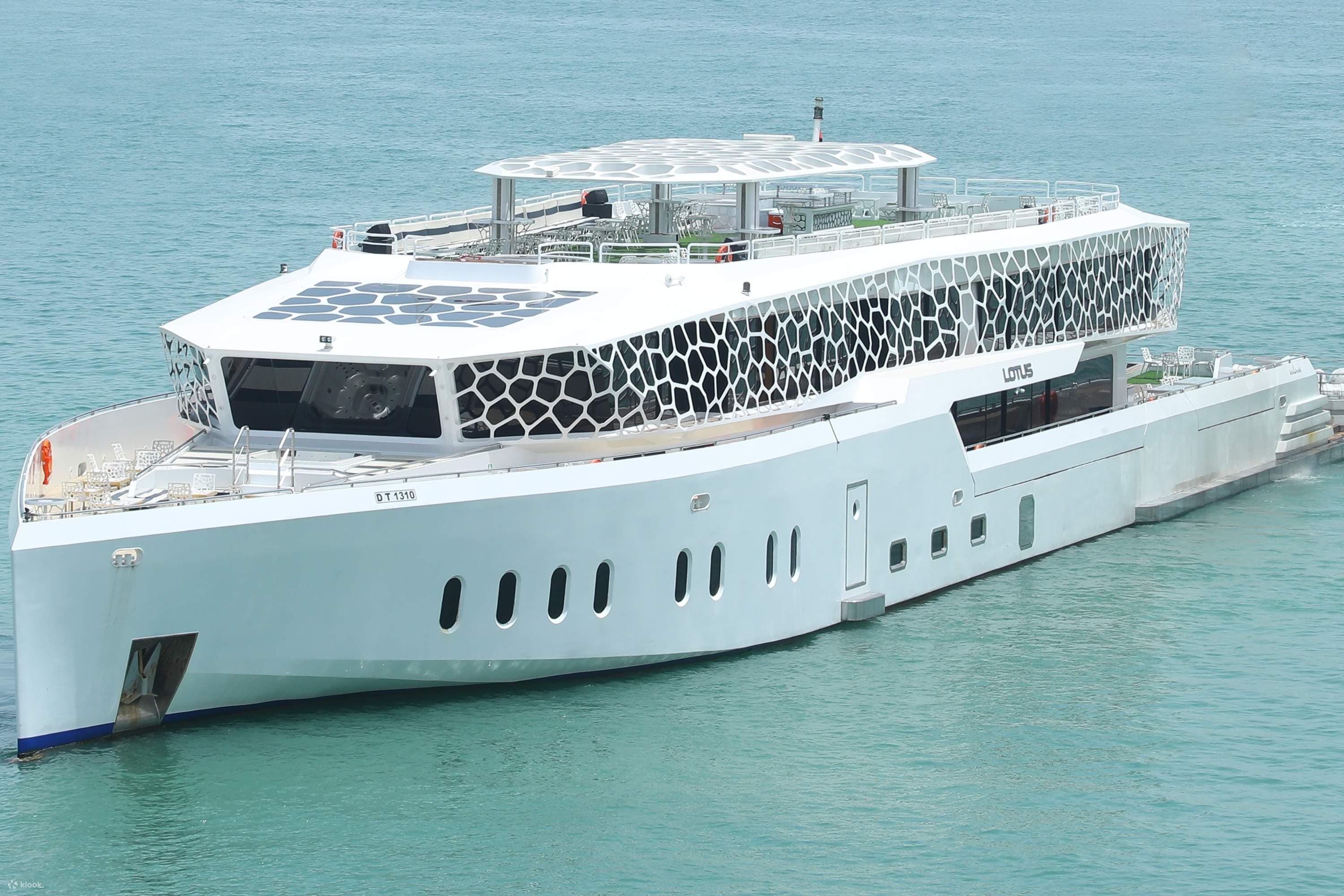 Desert Rose Cruise With Dinner & Soft Drinks experience in Dubai - Image 11
