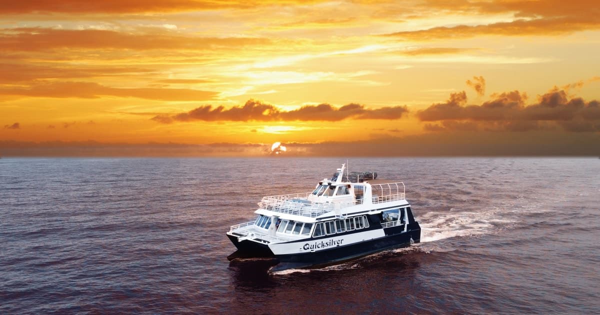 Calypso Sunset Cruise With Dinner & Unlimited Soft Drinks experience in Dubai - Image 4