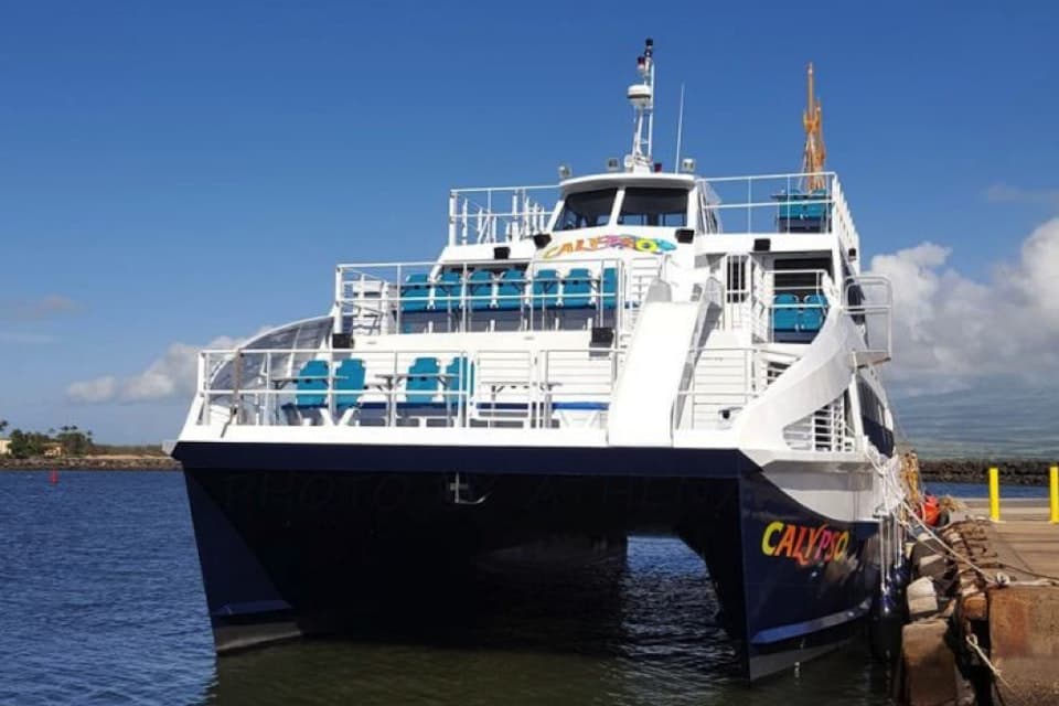 Calypso Sunset Cruise With Dinner & Unlimited Soft Drinks experience in Dubai - Image 5