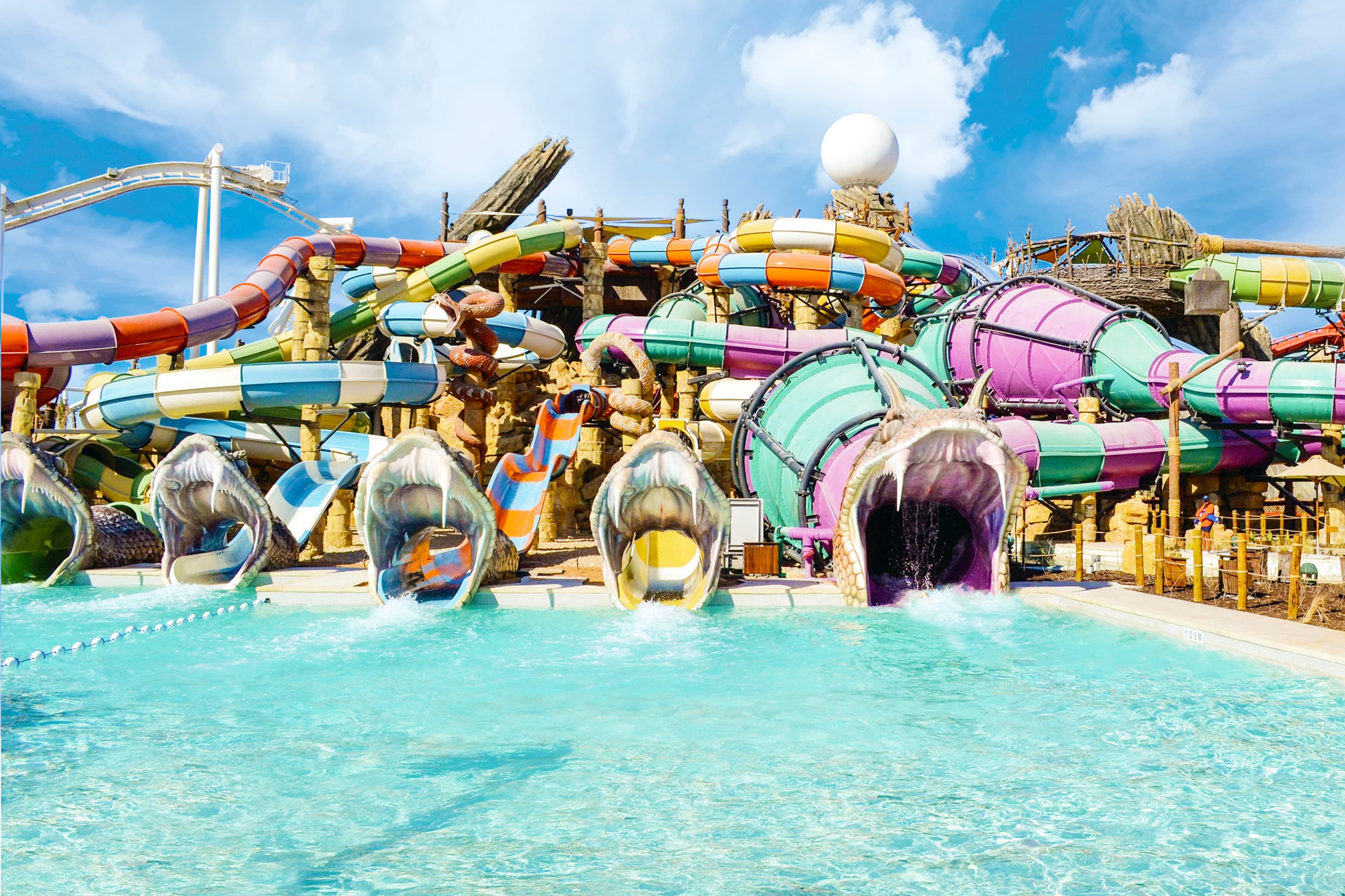 Yas Waterworld Abu Dhabi – Standard experience in Dubai - Image 6