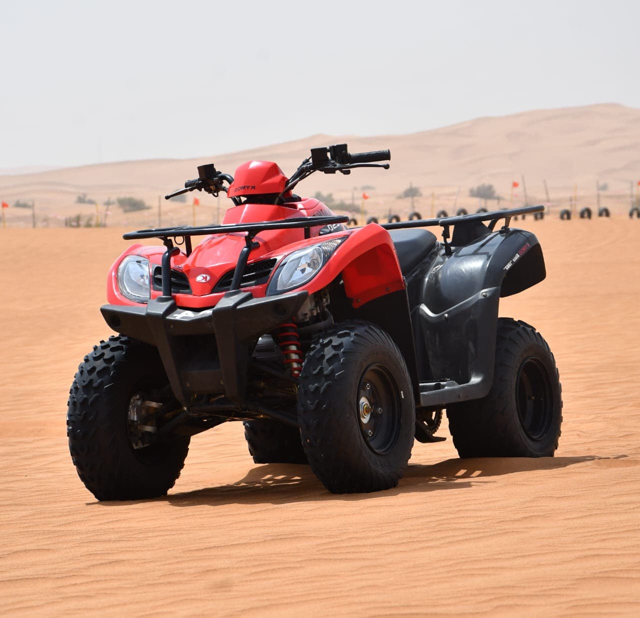 Evening Desert Safari + ATV Quad Biking with B.B.Q Dinner experience in Dubai - Image 9