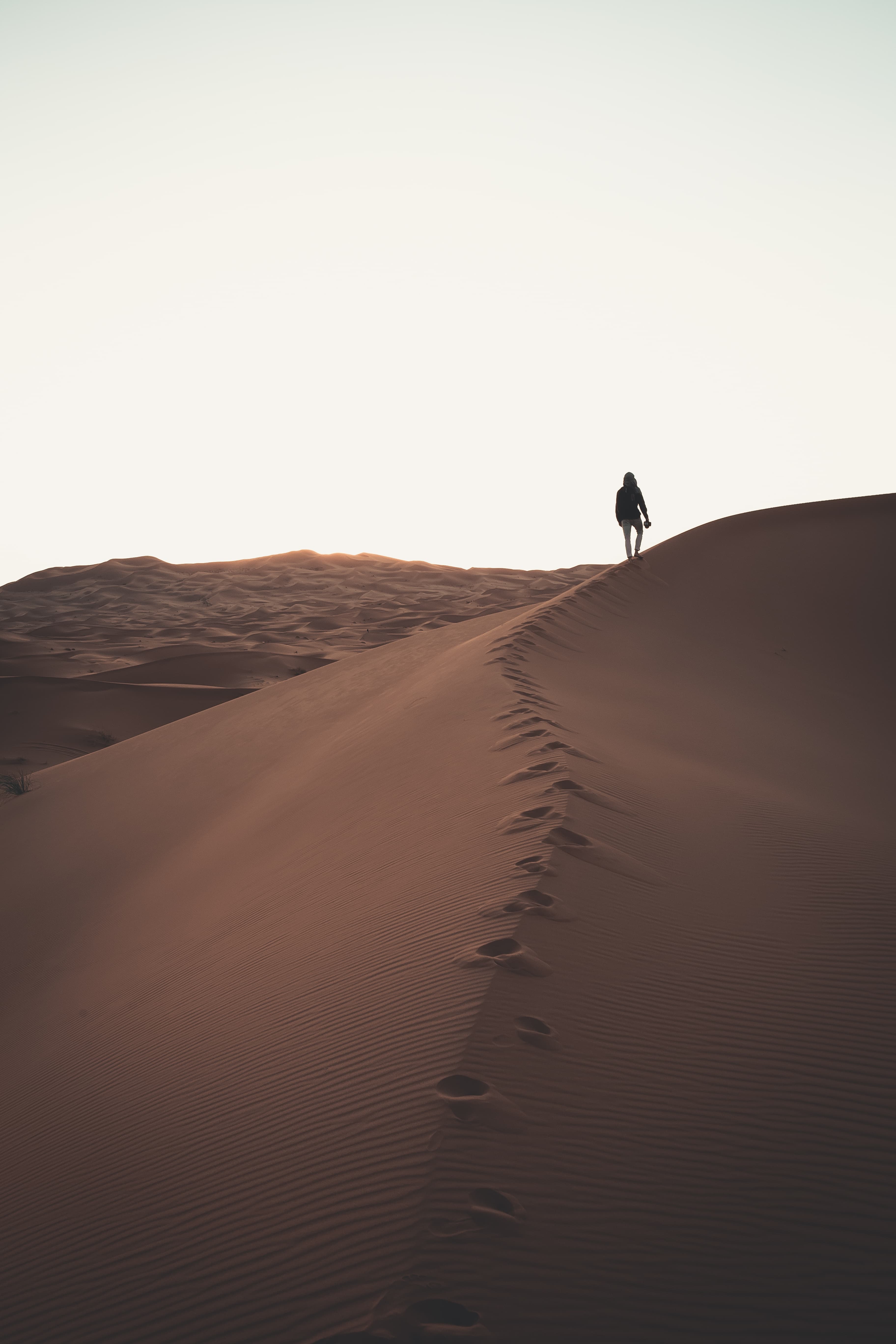 Premium Desert Safari with B.B.Q Dinner + DUNE BUGGY RIDE experience in Dubai - Image 7