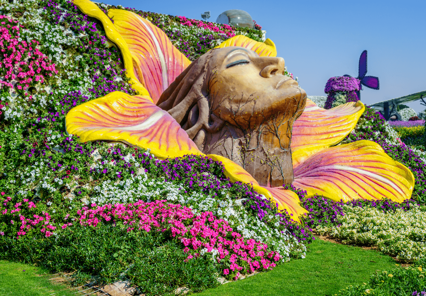 Dubai Miracle Garden – A Blooming Wonderland in the Desert experience in Dubai - Image 9