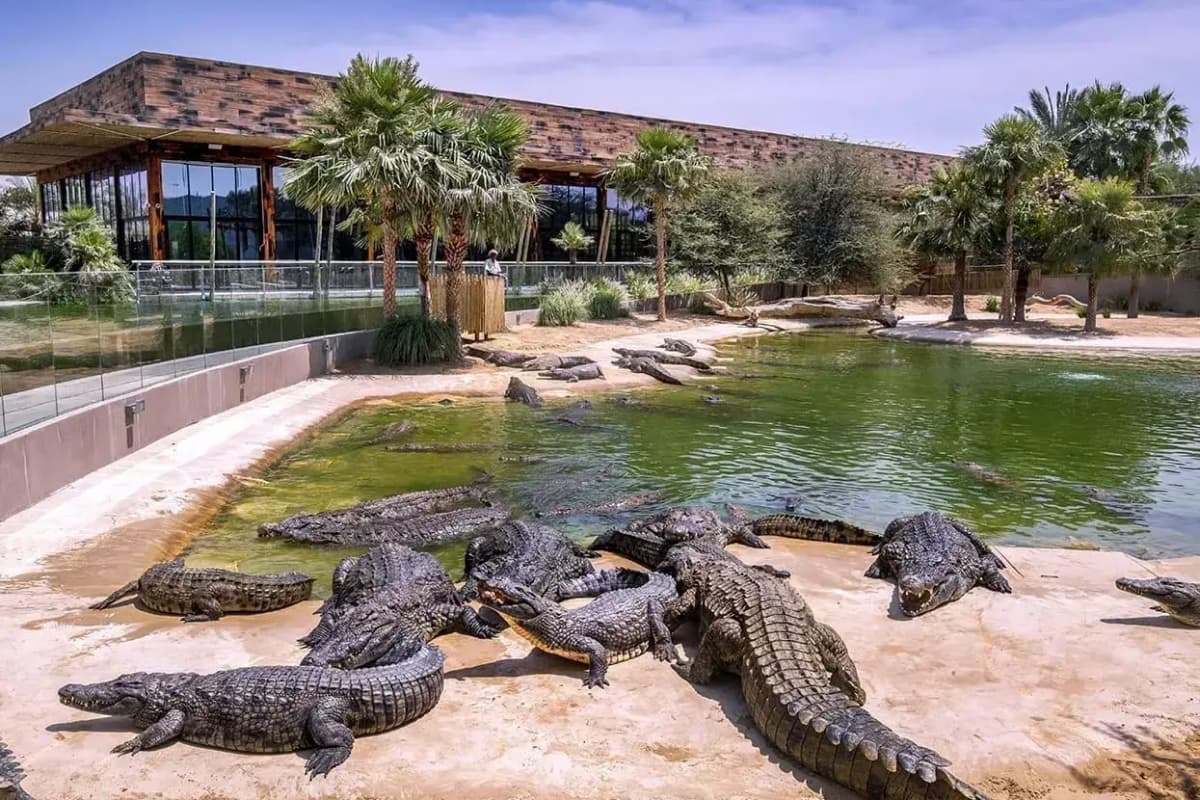 Dubai Crocodile Park experience in Dubai - Image 5