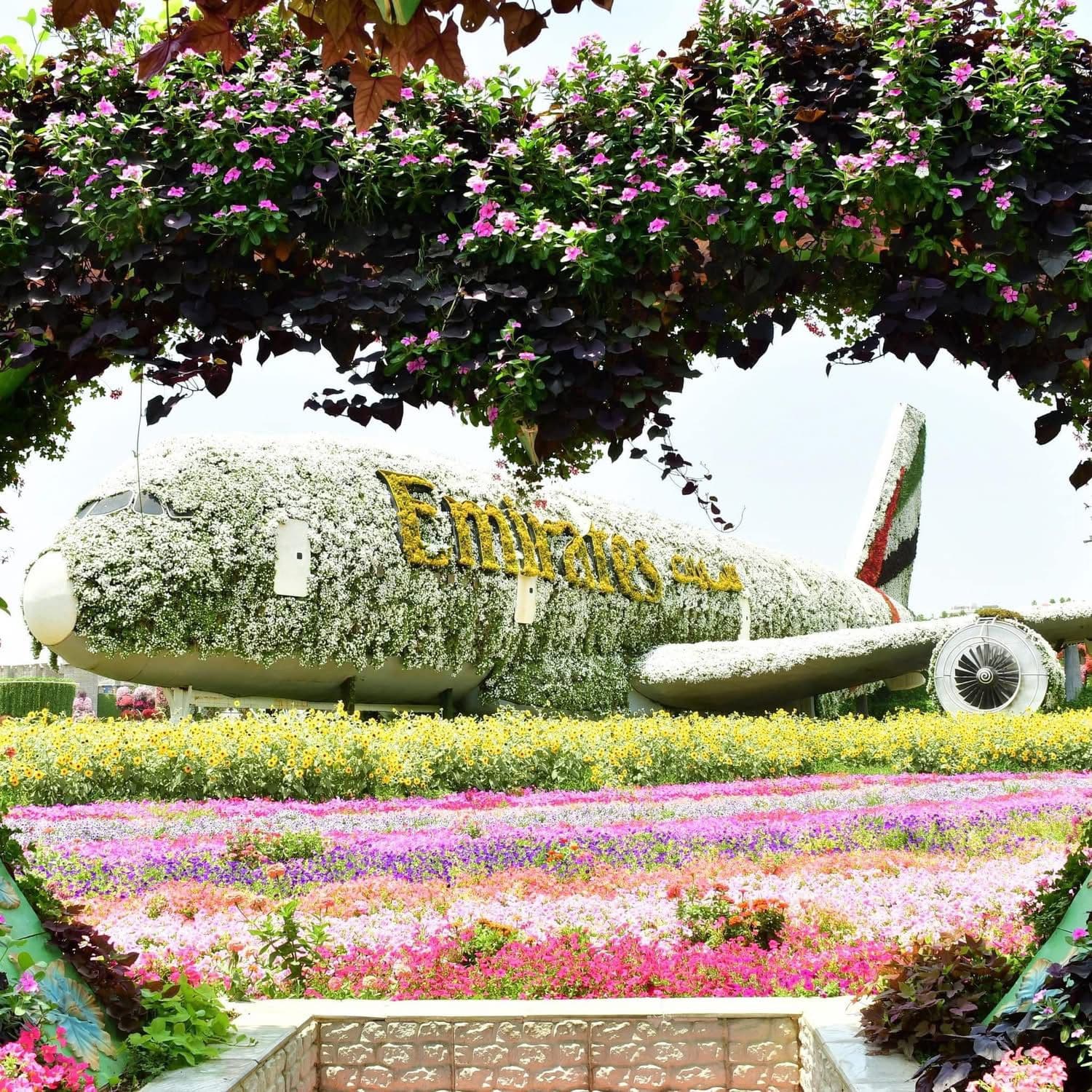 Combo: Miracle Garden & Dubai Desert Safari experience in Dubai - Image 3
